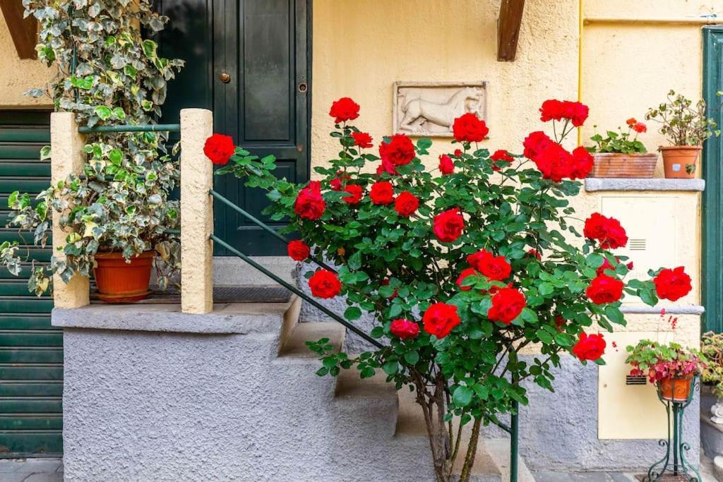 Relax Stay In A Typical Milan Courtyard - Navigli 外观 照片